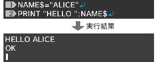 NAME$="ALICE"↵ PRINT "HELLO ";NAME$