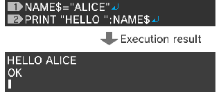NAME$="ALICE"↵ PRINT "HELLO ";NAME$